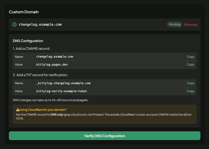 Custom domain DNS Configuration with CNAME and TXT records and the Verify DNS Configuration button